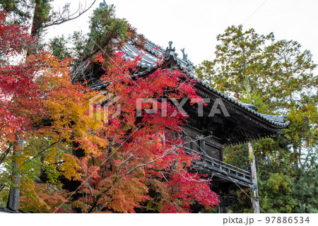 画聖雪舟ゆかりの禅寺　＃宝福寺　＃井山宝福寺　＃山門 97886534