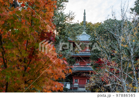 画聖雪舟ゆかりの禅寺 #宝福寺 #井山宝福寺 #三重塔 画聖雪舟ゆかりの禅寺 #宝福寺 #井山宝福寺 #三重塔 97886565