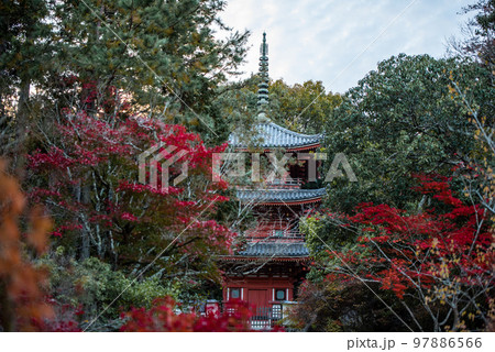 画聖雪舟ゆかりの禅寺 #宝福寺 #井山宝福寺 #三重塔 画聖雪舟ゆかりの禅寺 #宝福寺 #井山宝福寺 #三重塔 97886566