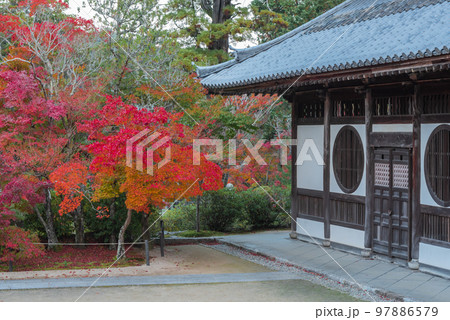 画聖雪舟ゆかりの禅寺　＃宝福寺　＃井山宝福寺　＃仏殿 97886579