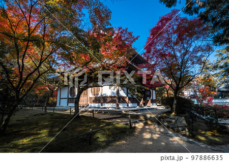 画聖雪舟ゆかりの禅寺 #宝福寺 #井山宝福寺 #仏殿 画聖雪舟ゆかりの禅寺 #宝福寺 #井山宝福寺 #仏殿 97886635
