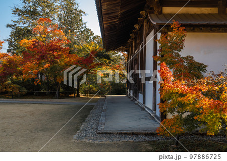 画聖雪舟ゆかりの禅寺 #宝福寺 #井山宝福寺 #仏殿 画聖雪舟ゆかりの禅寺 #宝福寺 #井山宝福寺 #仏殿 97886725