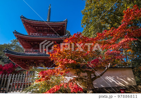 画聖雪舟ゆかりの禅寺 #宝福寺 #井山宝福寺 #三重塔 画聖雪舟ゆかりの禅寺 #宝福寺 #井山宝福寺 #三重塔 97886811