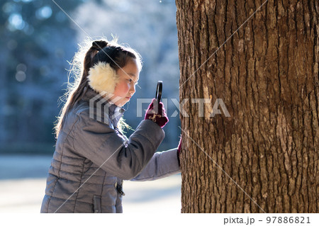木を虫眼鏡で見る女の子 97886821