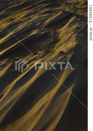冬の鳥取砂丘とその紋様 鳥取県 鳥取砂丘 97886861