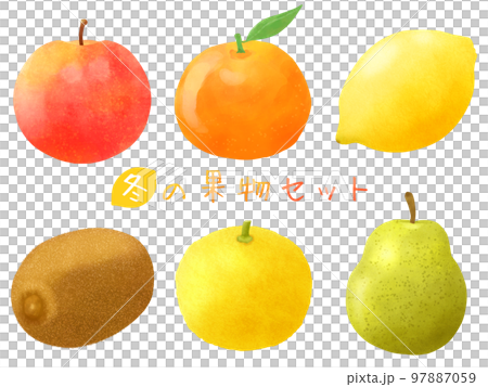 6 種冬季水果套裝（蘋果、橘子、檸檬、奇異果、柚子、法國） 97887059