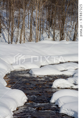 雪解けの小川 雪解けの小川 97887325