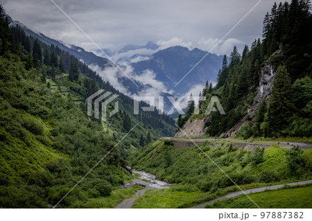 Deep clouds over the fir trees in the Austrian Alps - Vorarlberg region Deep clouds over the fir trees in the Austrian Alps - Vorarlberg region 97887382