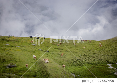 Grossglockner High Alpine Road in Austria 97887450