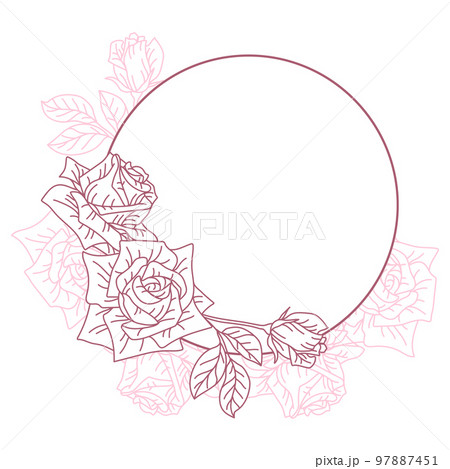 Background with rose flowers. Beautiful decorative plants. Background with rose flowers. Beautiful decorative plants. 97887451