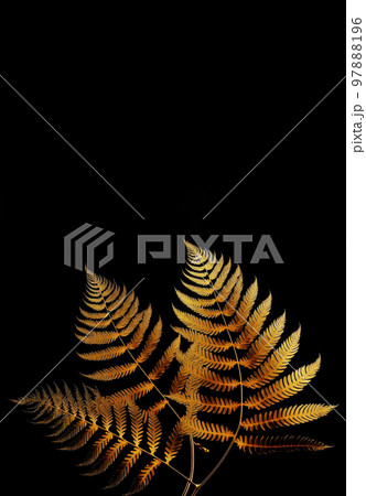 tropical gold leaf forest glow in the dark background. High contrast. 3d illustration 97888196
