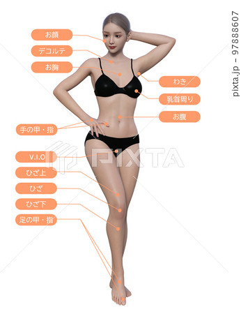 女性の悩むむだ毛の脱毛施術部位 ナチュラルな日本人3Dモデルの全身正面イラスト 女性の悩むむだ毛の脱毛施術部位 ナチュラルな日本人3Dモデルの全身正面イラスト 97888607