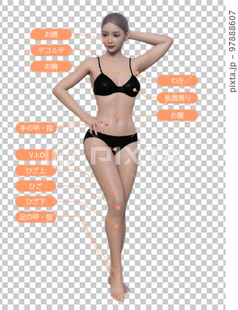 女性の悩むむだ毛の脱毛施術部位 ナチュラルな日本人3Dモデルの全身正面イラスト 女性の悩むむだ毛の脱毛施術部位 ナチュラルな日本人3Dモデルの全身正面イラスト 97888607