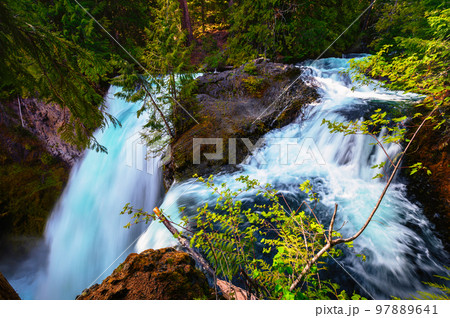 Sahalie Falls on McKenzie River located in Willamette National Forest, Oregon 97889641