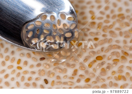 水で戻したホワイトチアシードのクローズアップ 97889722