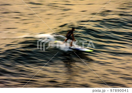 Stand up paddle at sunset in the sea of the city of Salvador Stand up paddle at sunset in the sea of the city of Salvador 97890041