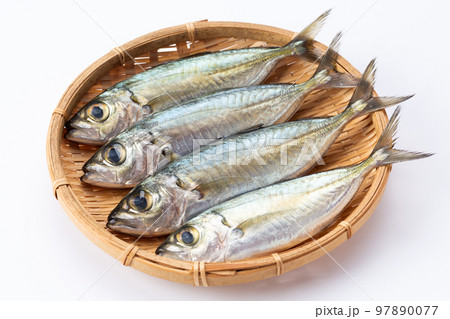 アジ(メアジ) アジ(メアジ) 97890077