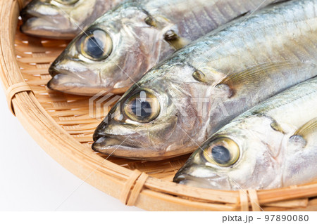 アジ（メアジ） 97890080