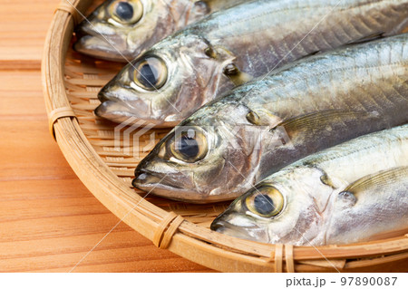 アジ（メアジ） 97890087