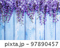 Floral wooden background with purple acacia flowers. 97890457