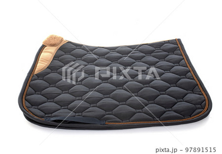 saddle cloth in studio saddle cloth in studio 97891515