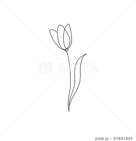 Line tulip flower art. One continuous line art decorative tulip flower draw. Editable stroke single element. Isolated 97891804