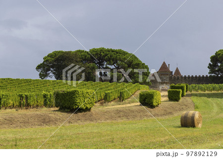 Typical vineyards near Chateau d Yquem, Sauternes, Bordeaux, Aquitaine, France Typical vineyards near Chateau d Yquem, Sauternes, Bordeaux, Aquitaine, France 97892129