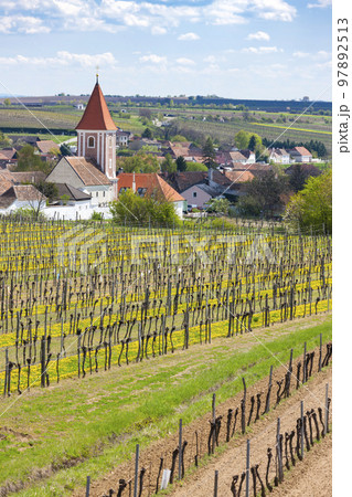 spring vineyards near Mitterretzbach in Lower Austria, Austria spring vineyards near Mitterretzbach in Lower Austria, Austria 97892513