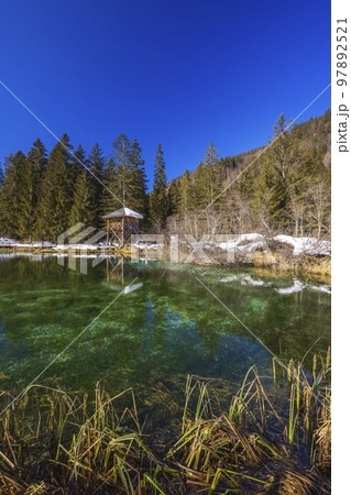 winter landscape in Zelenci, Slovenia winter landscape in Zelenci, Slovenia 97892521