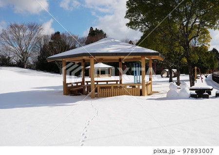一面雪の積もった無人の公園に可愛い猫の足跡 97893007
