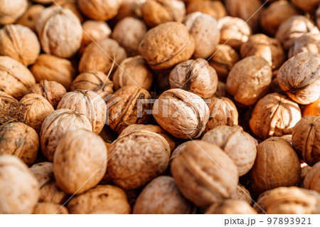 boxes of walnuts. harvesting nuts on the farm.  boxes of walnuts. harvesting nuts on the farm.  97893921