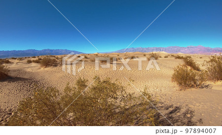 Mesquite flat sand dunes in Death Valley National Park 97894007
