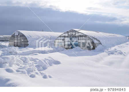 豪雪地方のビニールハウス 豪雪地方のビニールハウス 97894843