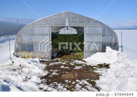 降雪地でもつかえるビニールハウス