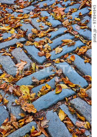 Detail of brick pattern on ground with fall leaves covering Detail of brick pattern on ground with fall leaves covering 97894945