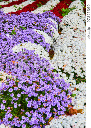 American flag colored flower pattern with purple, white, and red 97895360