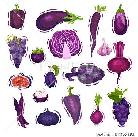 Set of purple vegetables and fruits set. Cauliflower, grape, eggplant, beetroot, plum cartoon vector 97895393