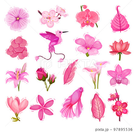 Pink Floral Decorative Collection with Lush Flower Buds and Fish Big Vector Set Pink Floral Decorative Collection with Lush Flower Buds and Fish Big Vector Set 97895536