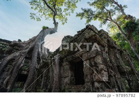 カンボジアの観光都市シェムリアップにあるタプローム遺跡 カンボジアの観光都市シェムリアップにあるタプローム遺跡 97895782