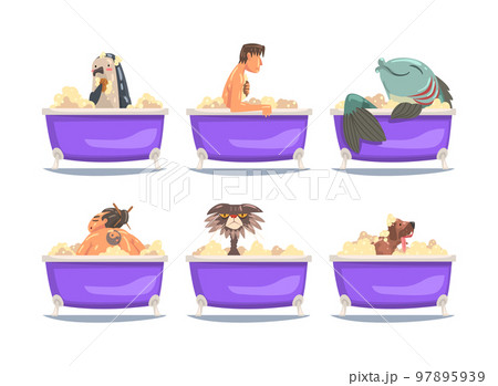 People and animals taking bath. Funny male characters, penguin, set, fish, cat, dog relaxing in Foam bathtub cartoon vector illustration 97895939
