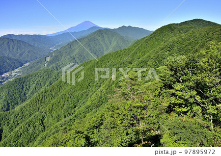 道志山塊の赤鞍ヶ岳　ウバガ岩より富士山と道志山稜を望む 97895972