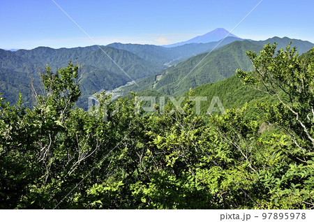 道志山塊の赤鞍ヶ岳 ウバガ岩より富士山と丹沢と道志山塊 道志山塊の赤鞍ヶ岳 ウバガ岩より富士山と丹沢と道志山塊 97895978