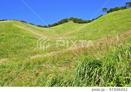 道志山塊の高座山　夏の草原 97896082