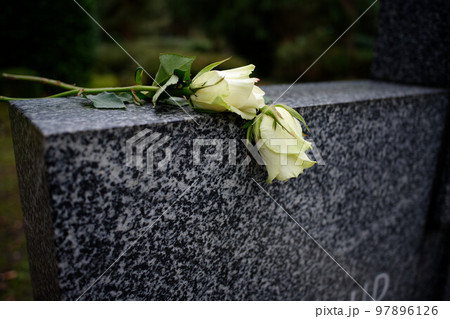 white roses on a marble tombstone 97896126