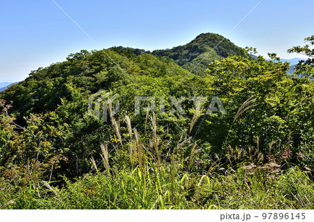 道志山塊の杓子山山頂より子ノ神を望む 97896145