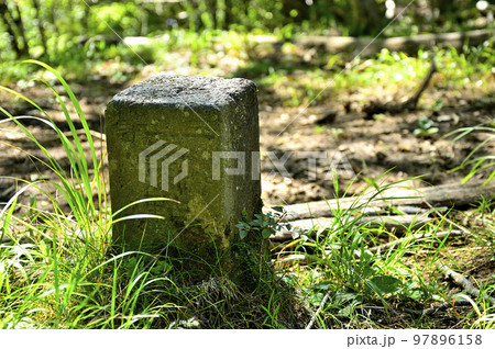 道志山塊の鹿留山山頂 三等三角点(戸澤) 道志山塊の鹿留山山頂 三等三角点(戸澤) 97896158