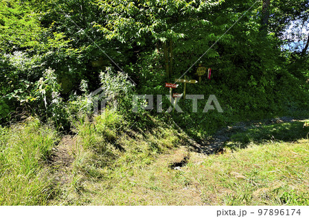 道志山塊の杓子山高座山コース 杓子山の大榷首峠(大権首峠) 高座山側 道志山塊の杓子山高座山コース 杓子山の大榷首峠(大権首峠) 高座山側 97896174