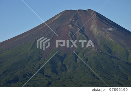 道志山塊　高座山より望む夏の朝の富士山 97896190