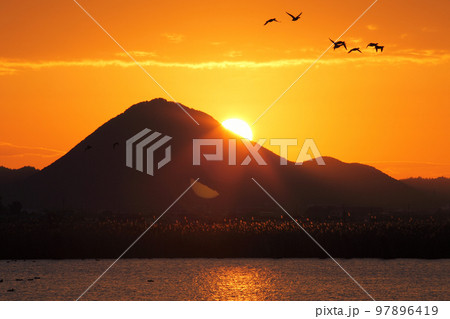 近江富士と日の出 近江富士と日の出 97896419
