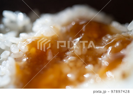 煮凝りをかけたご飯 煮凝りをかけたご飯 97897428
